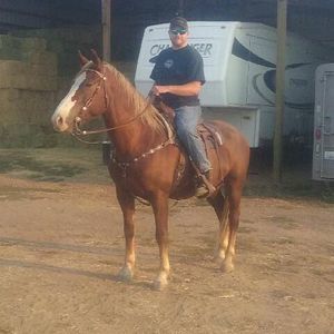 Meet your Posher, Sam